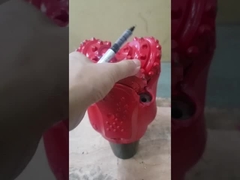 De boorbeetje van het Tungsterncarbide